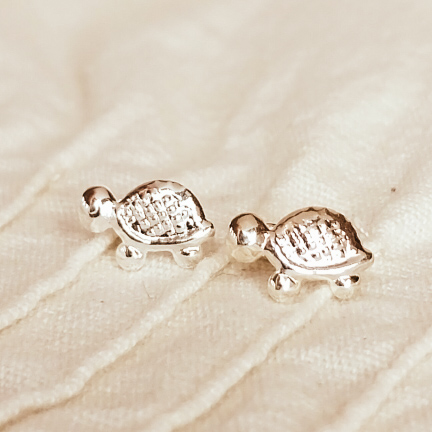 Tortuguitas